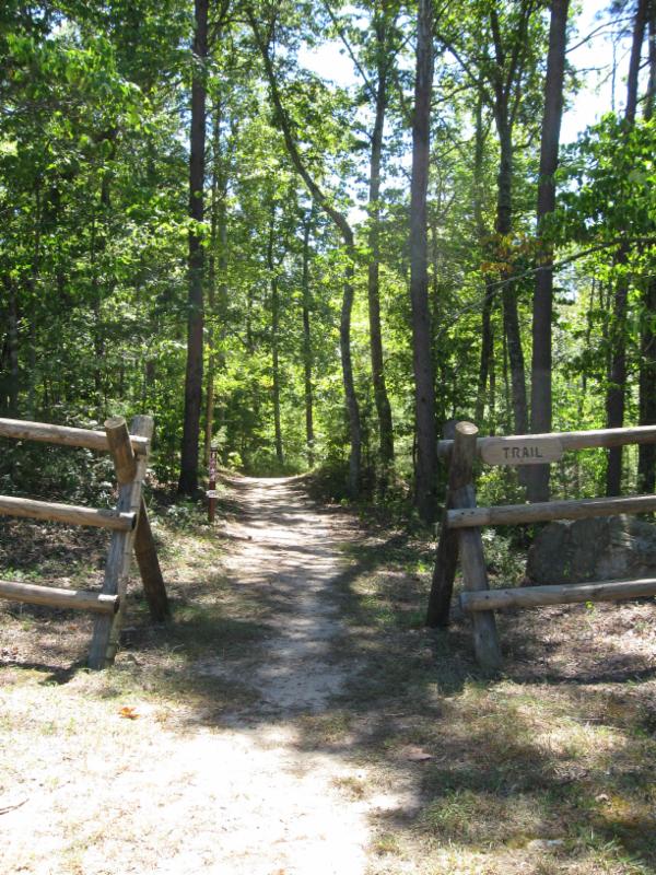 A forest with a clear path through the trees, there are two log fences with a sign saying "Trail".